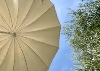 Soleil et 36° dimanche à Montpellier
