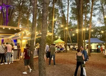 Vin, musique et terroir pour O'Millésimes