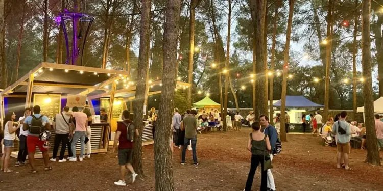 Vin, musique et terroir pour O'Millésimes