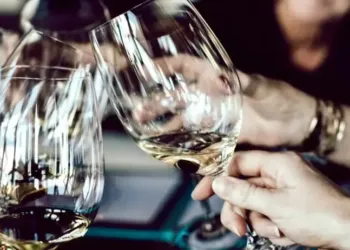 In Vino Veritas, une adresse qui a du nez