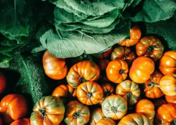 La tomate à la fête au parc Leenhardt à Clapiers