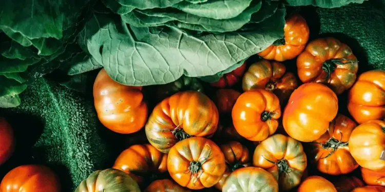 La tomate à la fête au parc Leenhardt à Clapiers