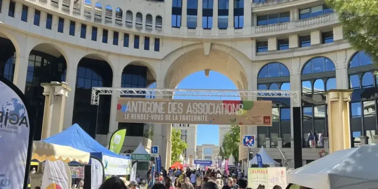 On bouge, on échange, on s’engage, on agit à Montpellier… avec l’Antigone des associations