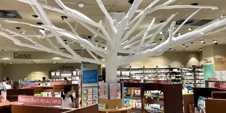 Une Boutique Atelier Basee Sur Les Cosmetiques Ouvre Au Polygone
