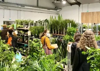 Montpellier : des plantes et fleurs à partir de 2,5€