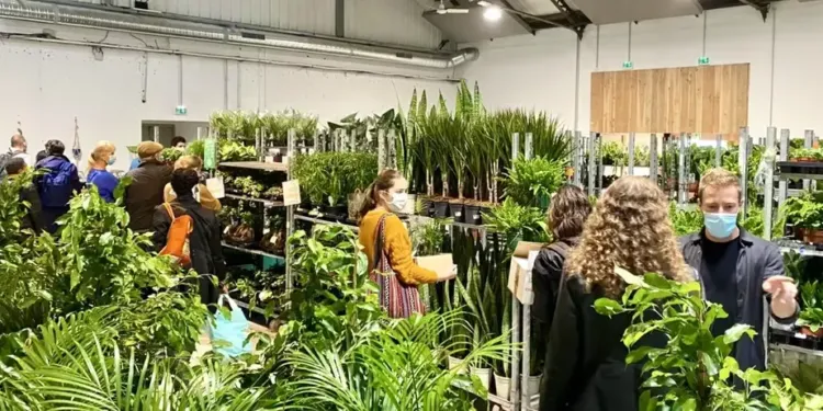 Montpellier : des plantes et fleurs à partir de 2,5€