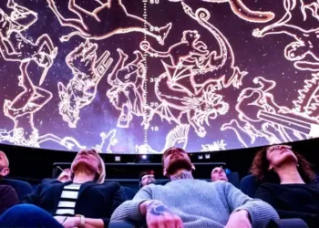Montpellier : en octobre, faites le plein d’animations à Planet Ocean
