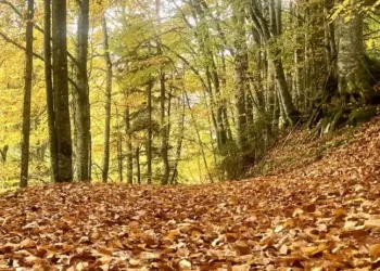Montpellier : une semaine pluvieuse