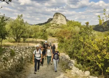 Vignobles et découvertes : un Fascinant week-end au Grand Pic Saint-Loup