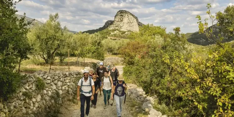 Vignobles et découvertes : un Fascinant week-end au Grand Pic Saint-Loup