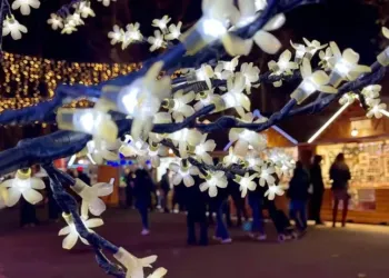 Le Marché de Noël va de nouveau faire scintiller Montpellier