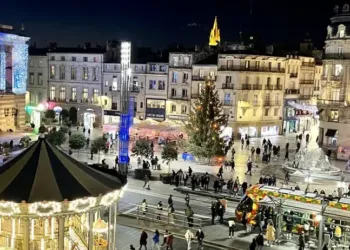 Le retour du sapin à Montpellier