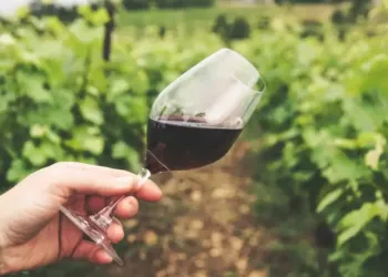2 jours de dégustations et d'animations chez les vignerons de la Métropole de Montpellier