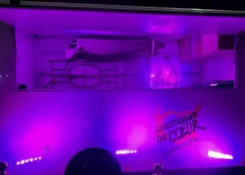 Montpellier : Lidl offre un camion du coeur