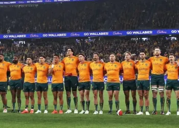 Pourquoi les Wallabies seront à Montpellier en août 23 ?