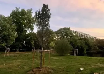 Soleil et jusqu’à 19° pour ton week-end à Montpellier