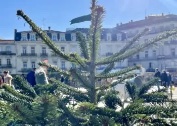Des éclaircies et un mercure à -2° pour ton dimanche à Montpellier