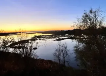 Montpellier : du soleil pour finir l’année