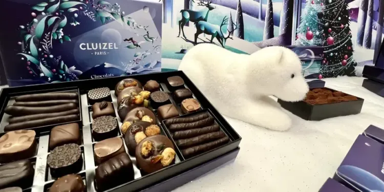 Montpellier : le Comptoir du chocolat, le spot douceur cacaoté