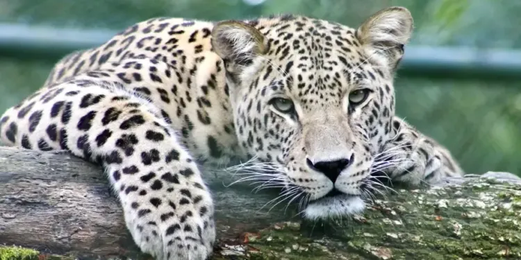 Montpellier : le Zoo du Lunaret s’anime pendant les vacances