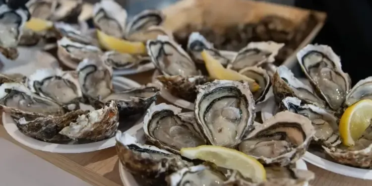 Pour les fêtes, régalez-vous avec les produits Sud de France
