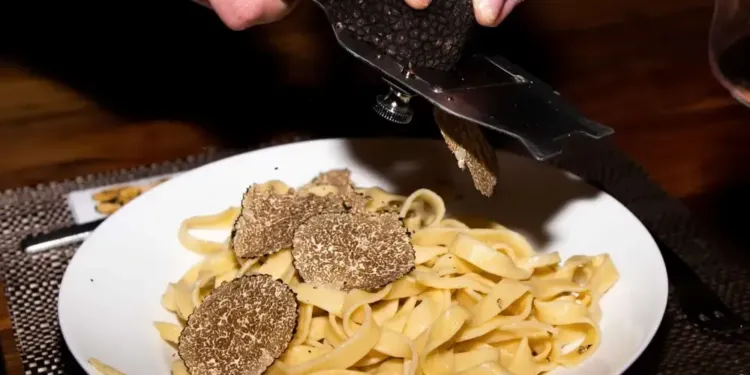 Saint-Géniès-des-Mourgues : 20 trufficulteurs attendus à la fête de la truffe