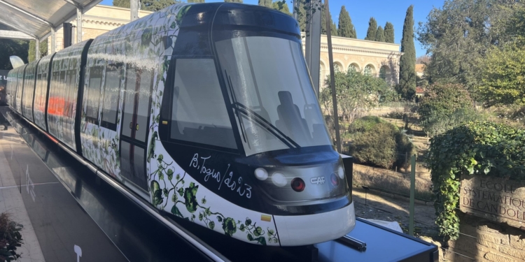 Montpellier : le design de la ligne 5 de tramway dévoilé