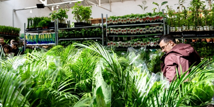 Grande vente de plantes à Montpellier dés 2€