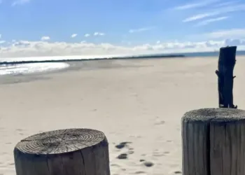 Grand soleil et -3° dimanche à Montpellier !