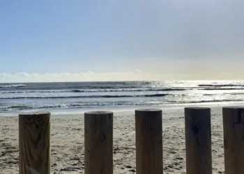 Carnon : le parking du Lido restera gratis cet été !