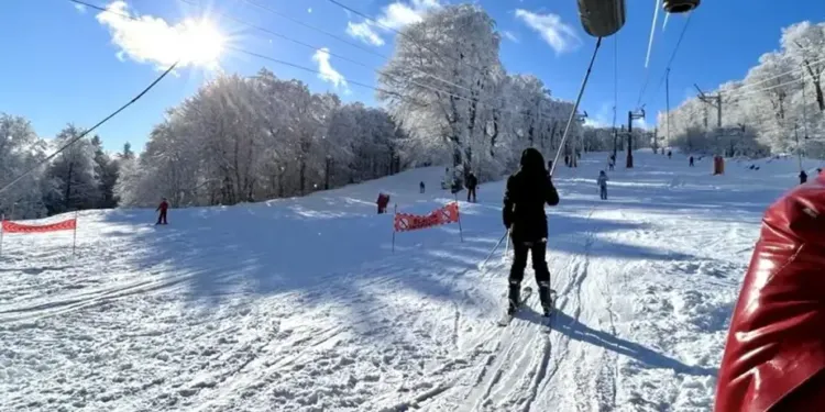 Forfait journée à 18€ à Alti Aigoual ce week-end !