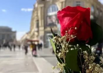 Gagnez votre bouquet de roses
