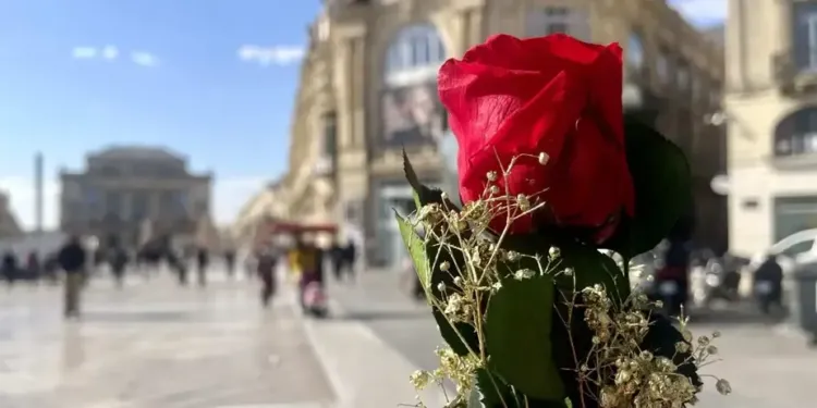 Gagnez votre bouquet de roses