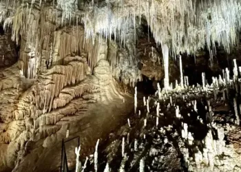 Grotte de Clamouse : projection et visite gratuites pour 100 chanceux