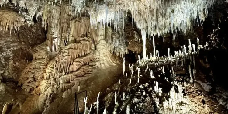 Grotte de Clamouse : projection et visite gratuites pour 100 chanceux