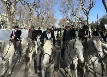 Inédit : 350 chevaux déferlent dans le centre-ville de Montpellier