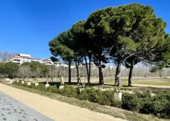 Montpellier : soleil et 14° pour ta semaine