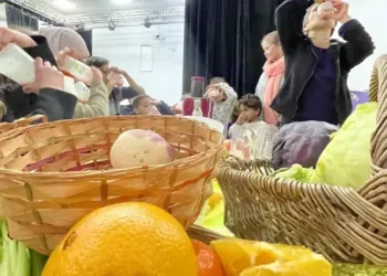 Vacances d'hiver : des ateliers à réserver pour les enfants