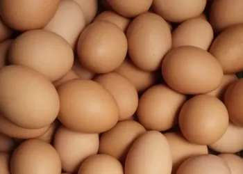 Ambrussum : une omelette géante pour Pâques à la mode lunelloise