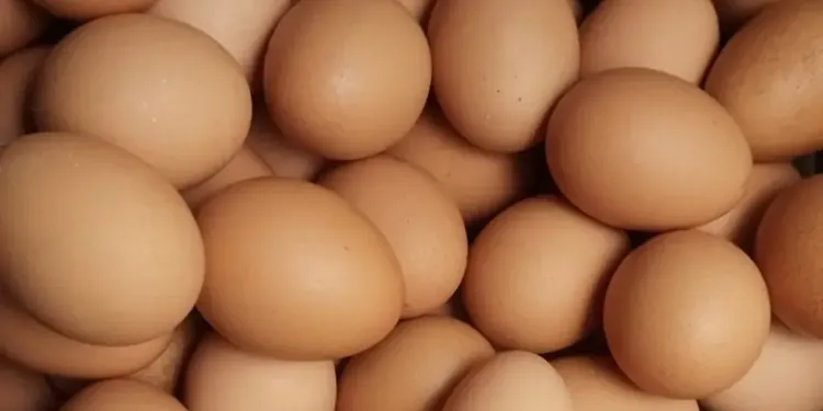 Ambrussum : une omelette géante pour Pâques à la mode lunelloise
