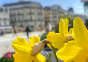 Jusqu’à 22° pour ton week-end mais attention à ton brushing