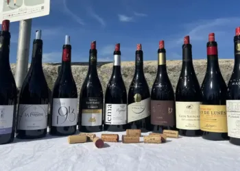 Les Grès de Montpellier dévoilent le Top 10 des cuvées admirables 2023