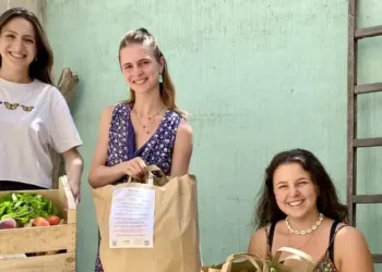 Montpellier : PimpUp vend des fruits et légumes moches à petits prix 