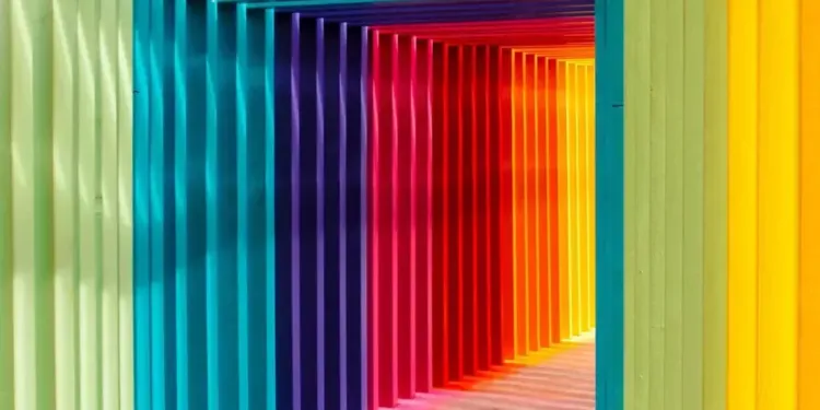 Rainbow Screen : un Festival à Montpellier pour célébrer tous les genres et toutes les sexualités