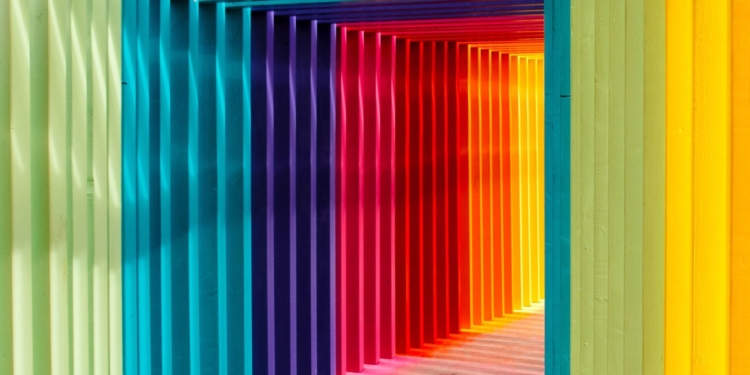Rainbow Screen : un Festival à Montpellier pour célébrer tous les genres et toutes les sexualités