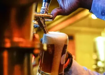 Top 5 des bars montpelliérains où célébrer la Saint-Patrick