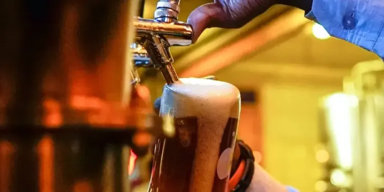 Top 5 des bars montpelliérains où célébrer la Saint-Patrick
