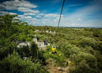 1h d'accrobranche, 20 mn de laser game, descente de tyrolienne géante… pour seulement 15 €