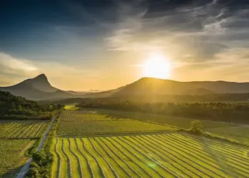 Pays du Grand Pic Saint-Loup : le printemps s’annonce passionnant