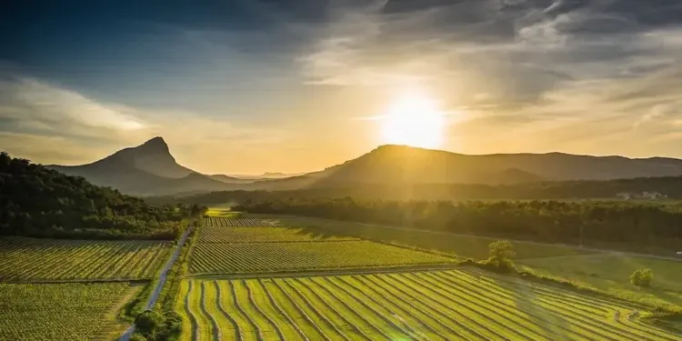 Pays du Grand Pic Saint-Loup : le printemps s’annonce passionnant